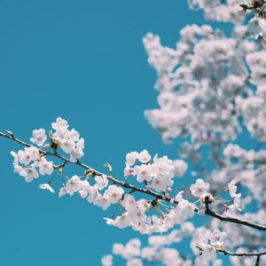 我家弟弟鸡真的很棒第一季在线观看高清
